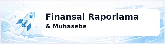 Finansal Raporlama & Muhasebe